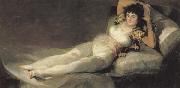 Francisco de goya y Lucientes The Maja Clothed oil painting artist